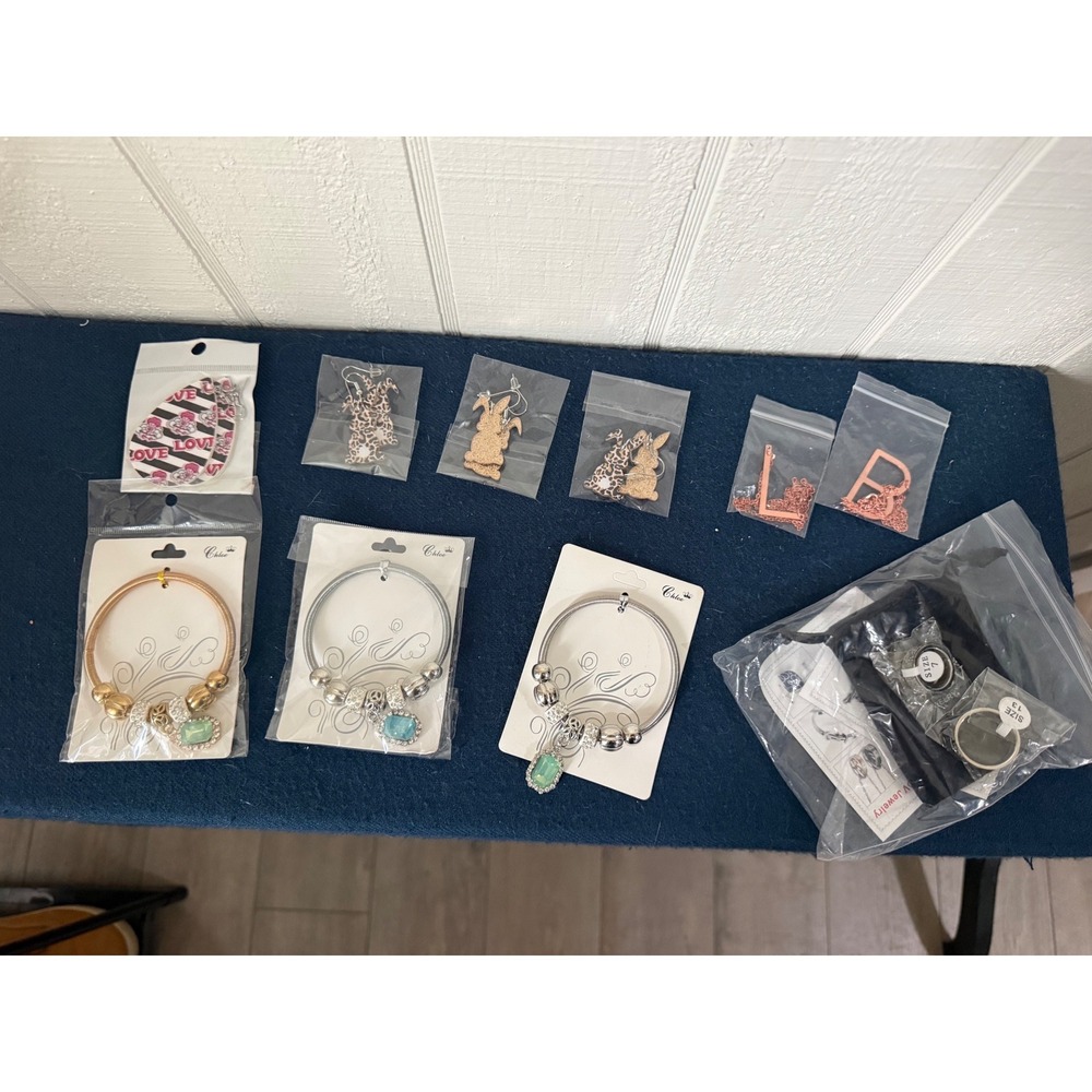 Bundle 13- Fashion Jewelry Charm Bracelets Initial Necklaces Bunny Earrings Ring
